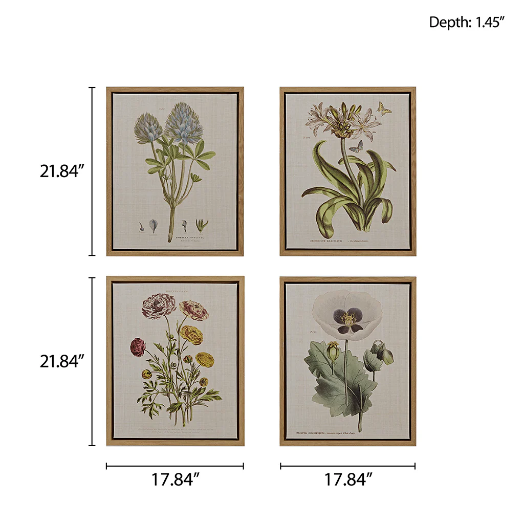 4-piece Botanical Illustration Framed Canvas Wall Art Set - Image 2