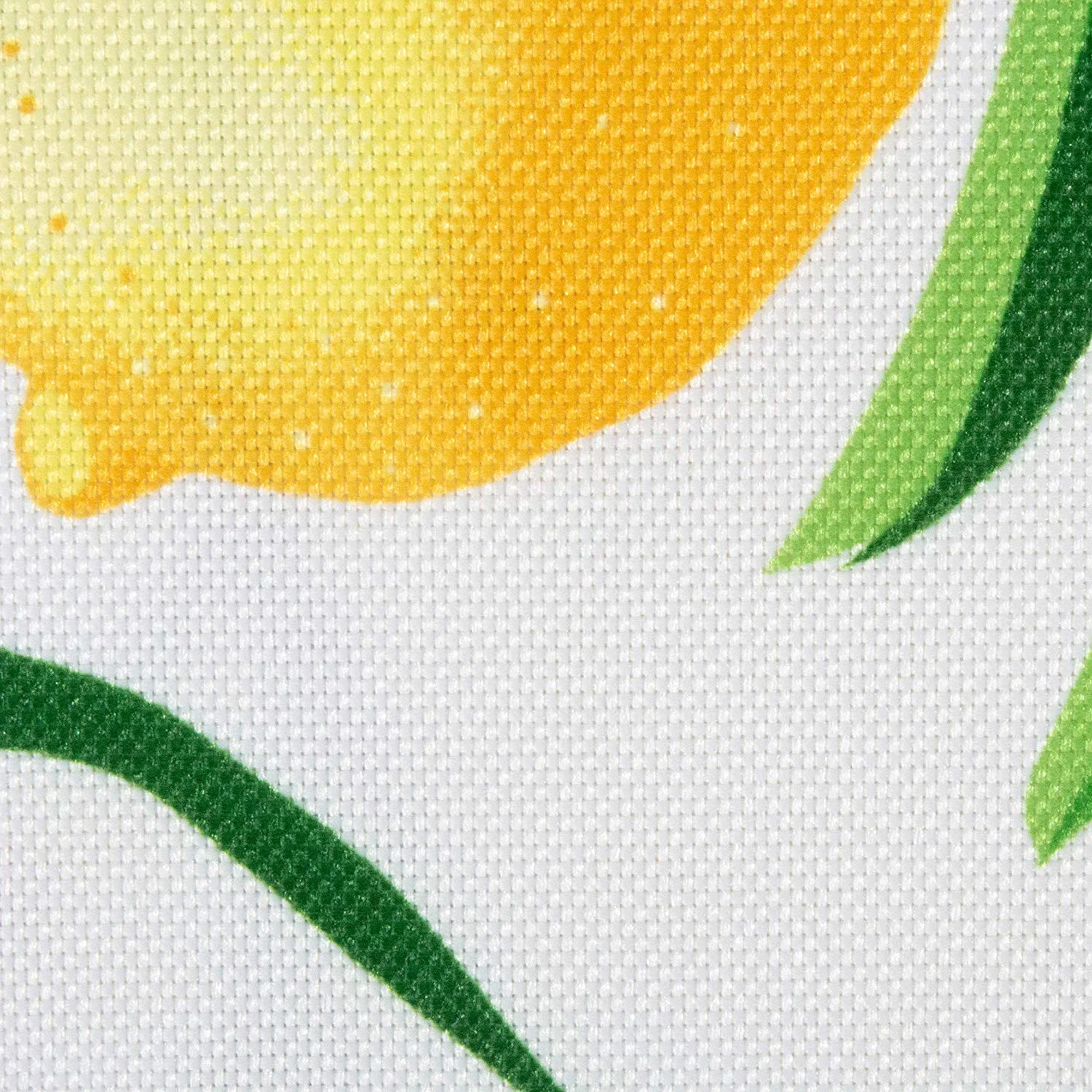 Lemon Bliss Print Outdoor Placemat, Set Of 6 - Image 4
