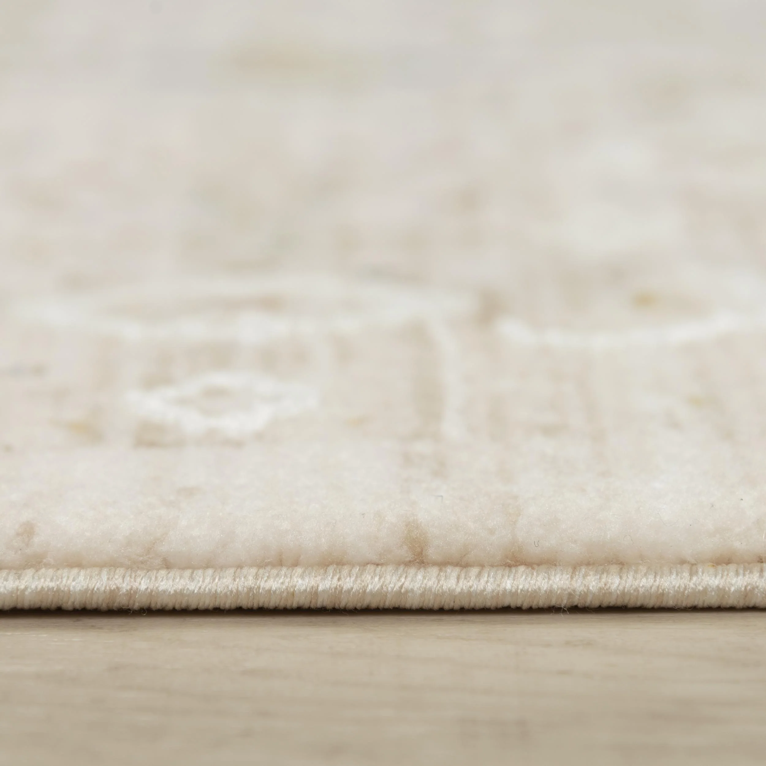 Power Loomed Classic/Persian Area Rug - Image 6